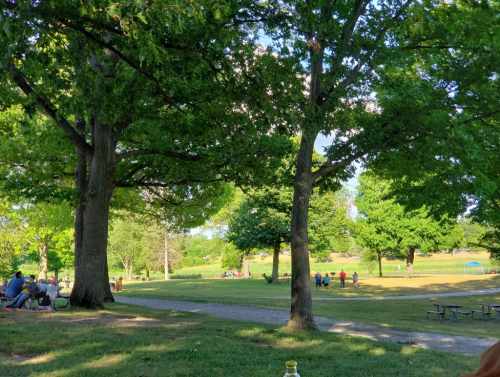 A sunny park scene with green trees, a gravel path, and people enjoying the outdoors in the background.