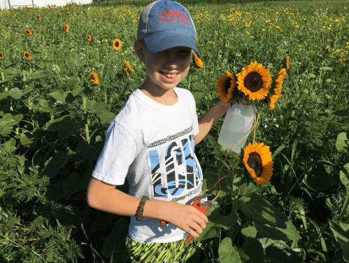 A smiling child in a cap holds sunflowers and a spray bottle in a sunny field of flowers.