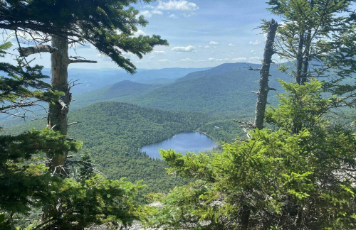 A scenic view of a lush green landscape with a lake surrounded by mountains under a clear blue sky.
