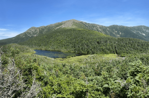 A panoramic view of a lush green landscape with a serene lake surrounded by mountains under a clear blue sky.