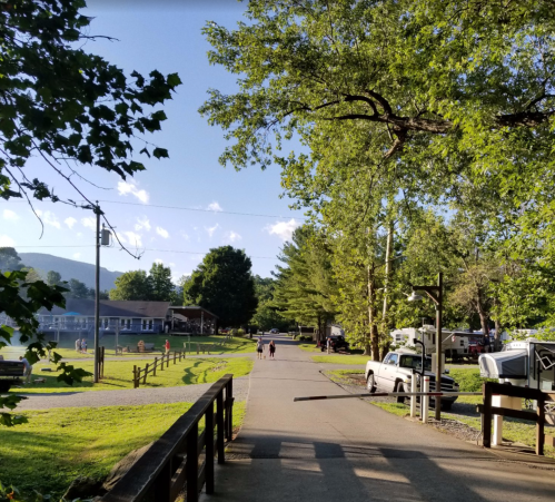 A scenic view of a tree-lined road leading to a campground with people walking and parked vehicles.
