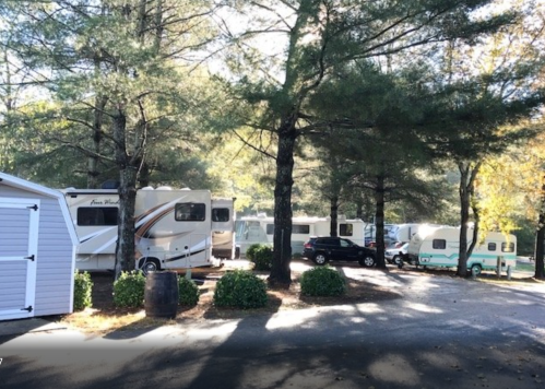 A campsite with several RVs and a vintage camper surrounded by trees and shrubs.