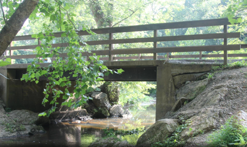 A wooden bridge spans a serene stream, surrounded by lush greenery and rocky banks. Sunlight filters through the leaves.