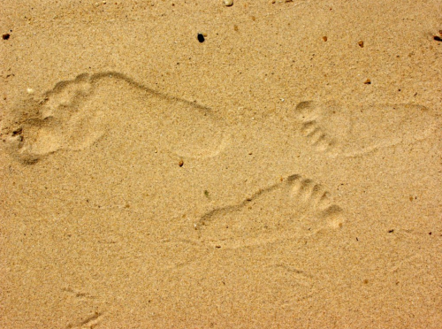Footprints in soft, golden sand, creating a natural pattern on the beach.