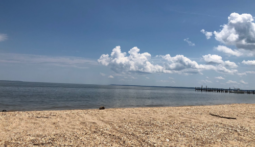 A sandy beach with calm water and fluffy clouds in a clear blue sky, featuring a distant pier.