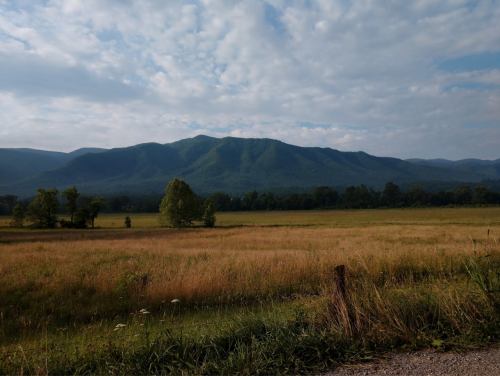 A scenic view of rolling green mountains under a cloudy sky, with a grassy field in the foreground.