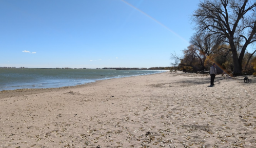 A sandy beach by a calm lake, with a person standing near the water and trees in the background under a clear blue sky.