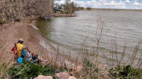 Two people fishing by a sandy shore, with a lake and cloudy sky in the background. Green plants and rocks are visible.