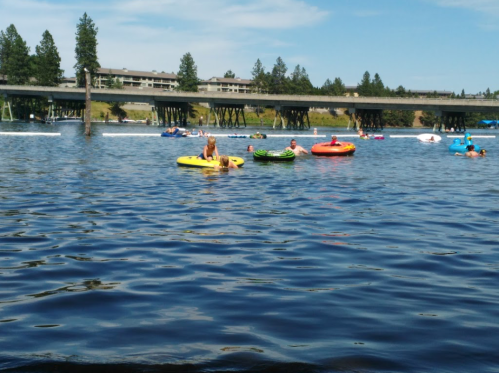 People floating on colorful inner tubes in a calm lake, with a bridge and trees in the background under a clear blue sky.