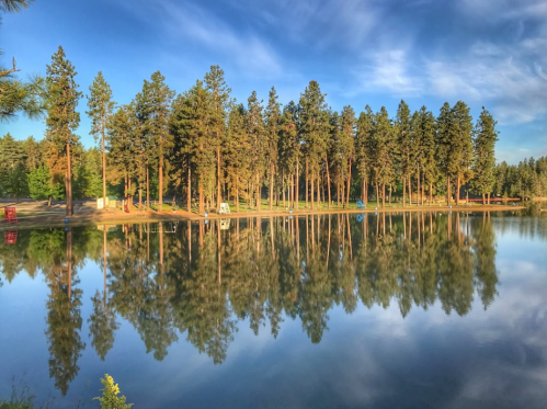 A serene lake surrounded by tall pine trees, reflecting the blue sky and clouds in calm waters.