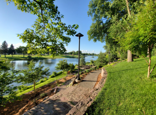 A serene park path lined with trees, leading to a calm lake under a clear blue sky.