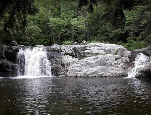 A serene scene of a waterfall cascading over rocks into a calm pool, surrounded by lush green trees.