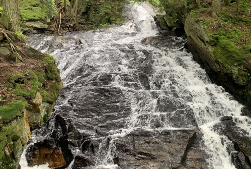 A cascading waterfall flows over rocky terrain, surrounded by lush green foliage and moss-covered stones.
