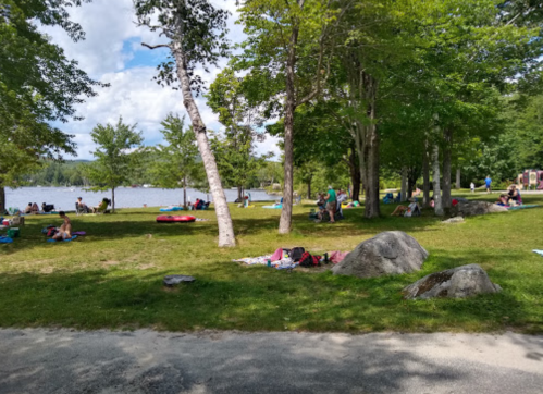 A scenic park by a lake with people relaxing on the grass, surrounded by trees and large rocks.