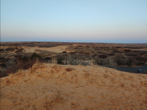 A sandy dune landscape at dusk, with rolling hills and sparse vegetation under a soft blue and pink sky.
