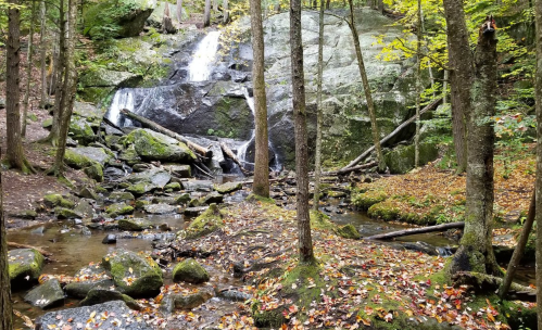 A serene forest scene featuring a waterfall cascading over rocks, surrounded by trees and autumn leaves.