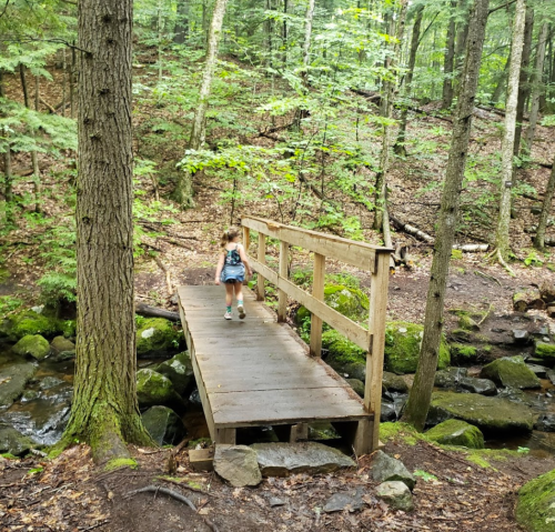 A person walks across a wooden bridge in a lush, green forest with trees and a small stream below.