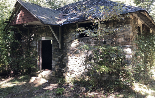 Abandoned stone house with a partially collapsed roof, surrounded by overgrown vegetation and trees.