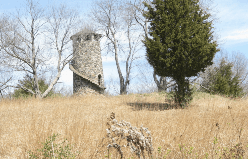 A stone tower with a spiral staircase surrounded by tall grass and bare trees under a clear blue sky.
