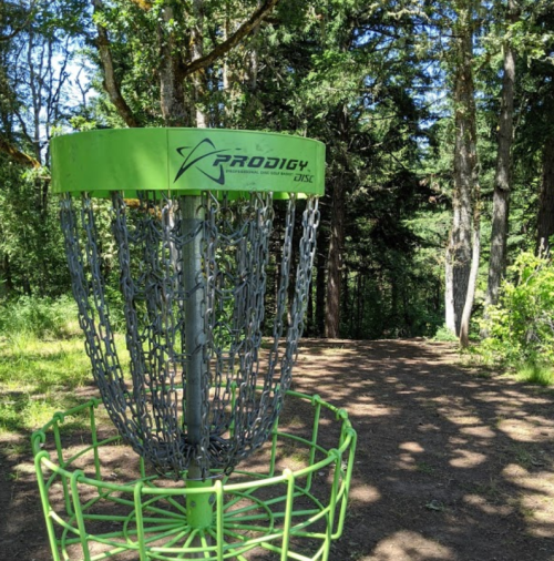 A green disc golf basket surrounded by trees on a dirt path in a wooded area.