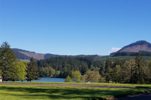 A serene landscape featuring a lake surrounded by lush trees and rolling hills under a clear blue sky.