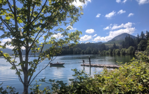A serene lake scene with a small boat, surrounded by trees and mountains under a blue sky with fluffy clouds.