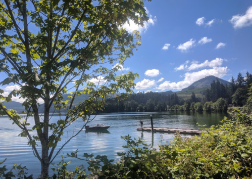 A serene lake scene with a small boat, dock, trees, and mountains under a blue sky with fluffy clouds.