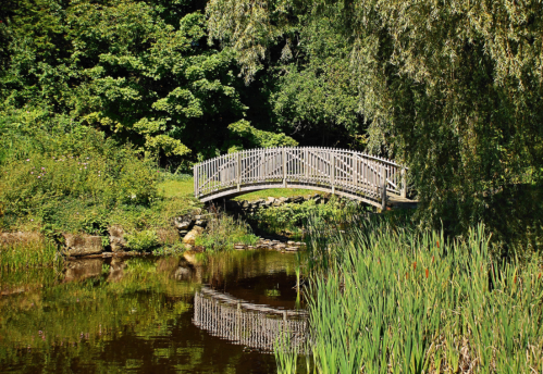 A wooden bridge arches over a calm pond, surrounded by lush greenery and reflected in the water.