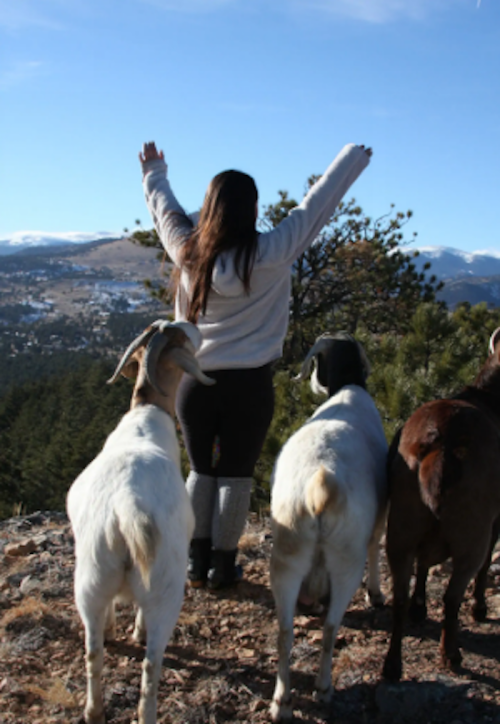 A person with arms raised stands on a rocky ledge, flanked by three goats, with mountains in the background.