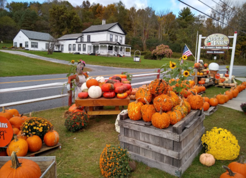 A farm stand displays colorful pumpkins and gourds in front of a white house, with autumn foliage in the background.