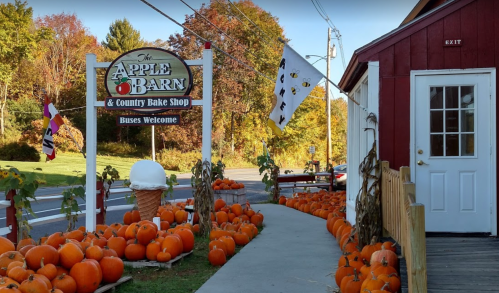A charming country bake shop with a sign, pumpkins lining the path, and colorful autumn foliage in the background.