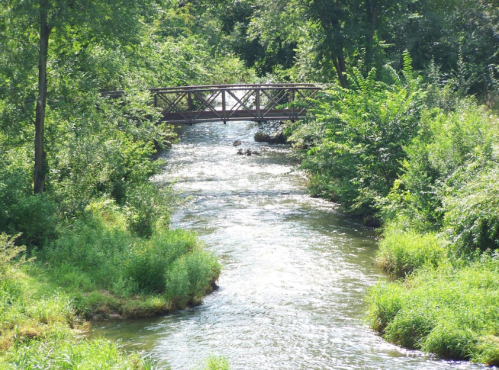 A serene river flows through lush greenery, with a wooden bridge crossing over it.