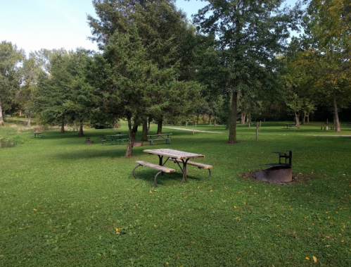 A grassy park area with picnic tables, trees, and a fire pit, surrounded by lush greenery.