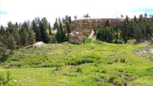 Lush green landscape with rocky cliffs and trees under a bright sky.