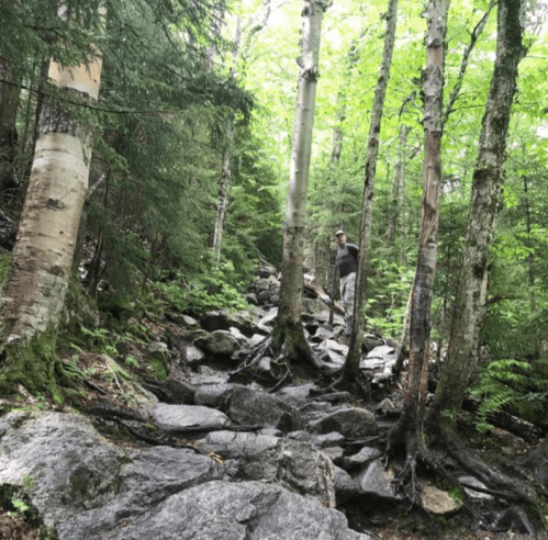 A hiker navigates a rocky trail surrounded by lush green trees in a forested area.