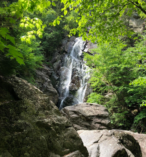A serene waterfall cascades down rocky cliffs, surrounded by lush green trees and foliage.