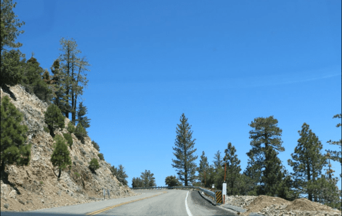 Winding road through a mountainous area with tall pine trees and a clear blue sky.
