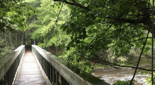 A wooden bridge surrounded by lush green trees, crossing over a flowing stream in a serene, rainy setting.