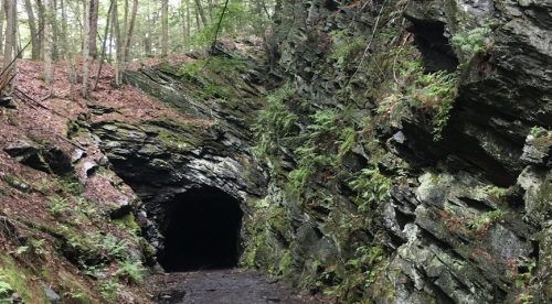 A dark tunnel carved into rocky terrain, surrounded by lush greenery and forested hills.