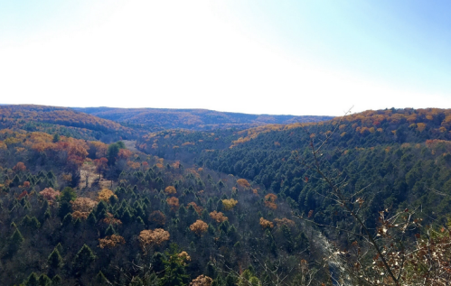 A panoramic view of a forested landscape with vibrant autumn foliage under a clear blue sky.