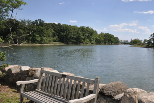 A wooden bench by a calm lake, surrounded by lush greenery and a clear blue sky.