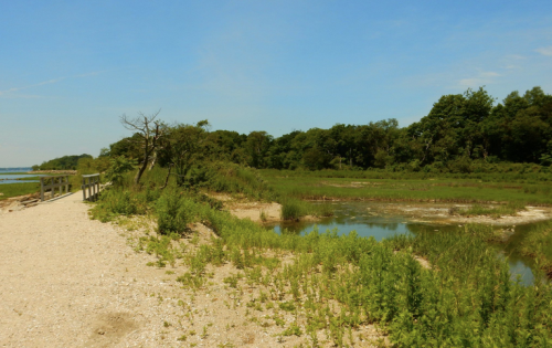 A serene coastal landscape featuring a sandy path, lush greenery, and a calm waterway under a clear blue sky.