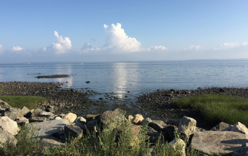 A serene shoreline with rocks and grass, reflecting clouds on calm water under a clear blue sky.