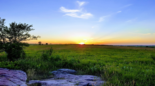 A vibrant sunset over a grassy field, with a tree silhouette and colorful sky in the background.