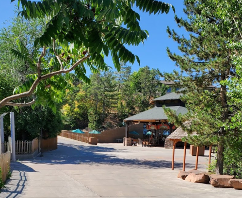 A sunny pathway leads to a building surrounded by trees and outdoor seating in a natural setting.