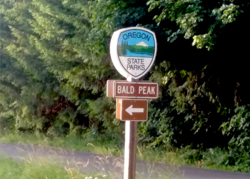 Sign for Oregon State Parks with an arrow pointing left towards Bald Peak, surrounded by greenery.