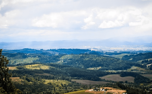 A panoramic view of rolling green hills and valleys under a cloudy sky, with distant mountains on the horizon.