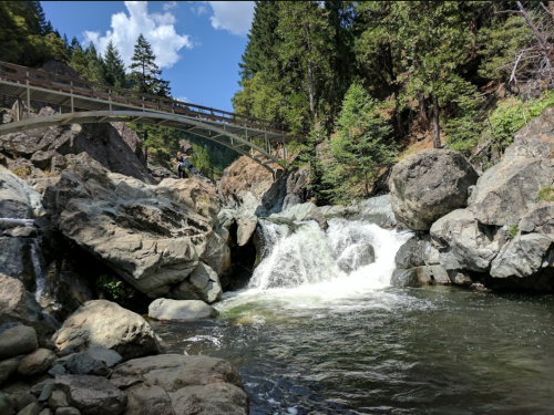 A serene river flows over rocks beneath a wooden bridge, surrounded by lush greenery and tall trees.