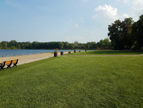 A serene lakeside park with green grass, benches, and a sandy beach under a clear blue sky.