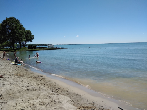 A sunny beach scene with people swimming and playing near calm water, surrounded by trees and a clear blue sky.